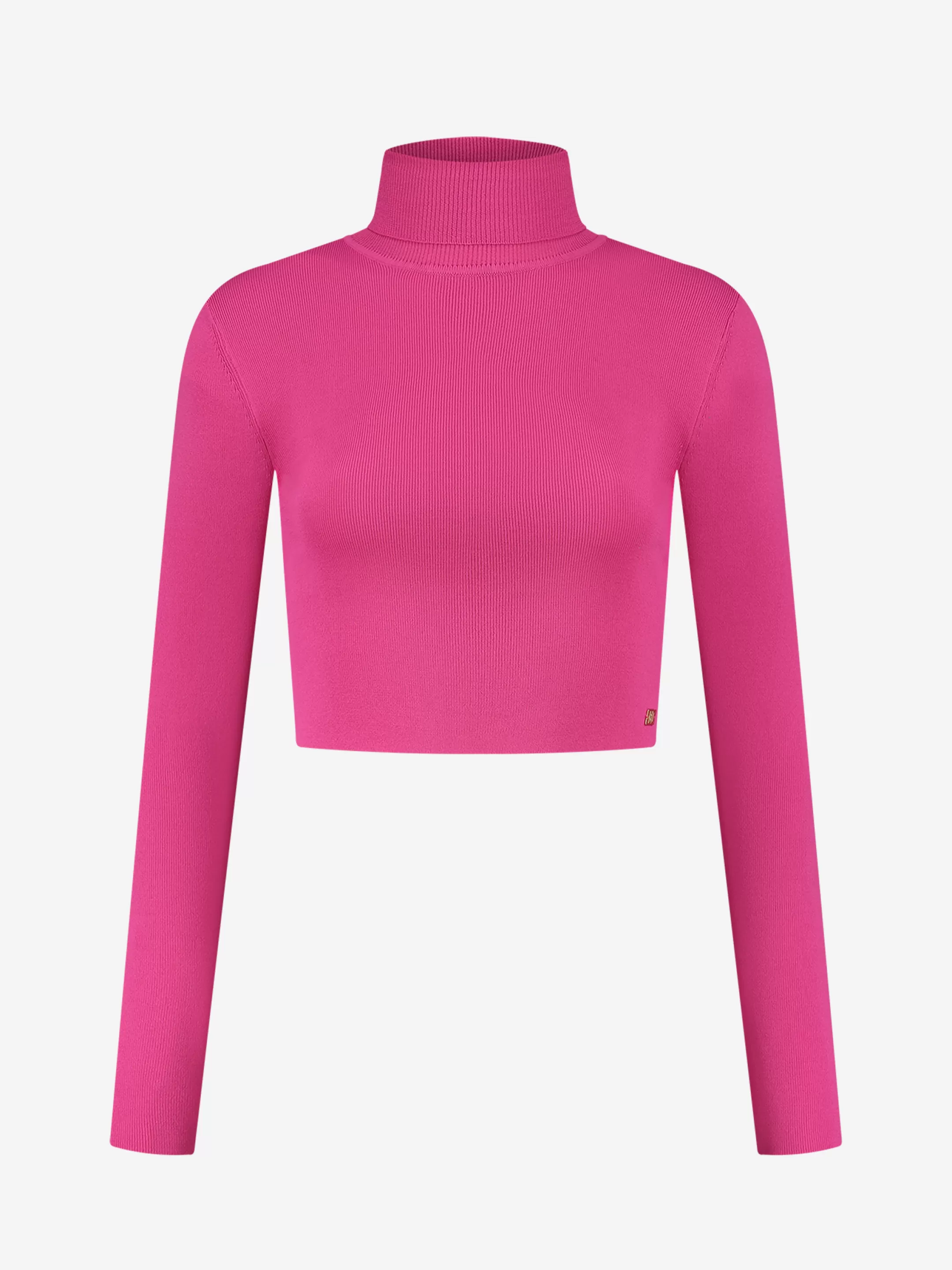 Online Fitted crop top met col Tops